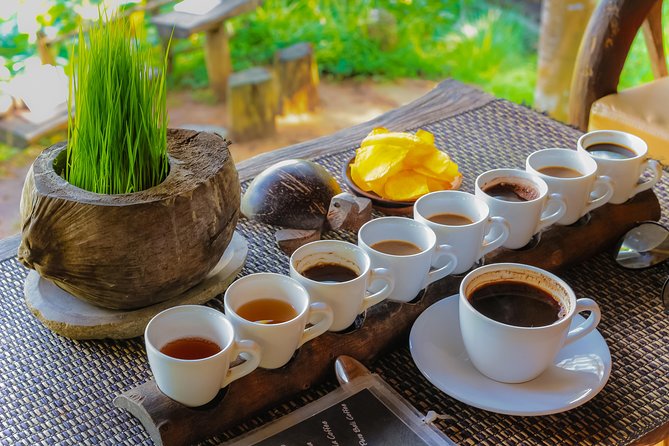Penglipuran Traditional Village Tour with Swing, Rice Terrace, and Temple - Tirta Empul and Bali’s holy spring water