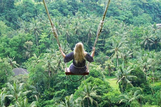 Penglipuran Traditional Village Tour with Swing, Rice Terrace, and Temple - Is $55.55 good value?