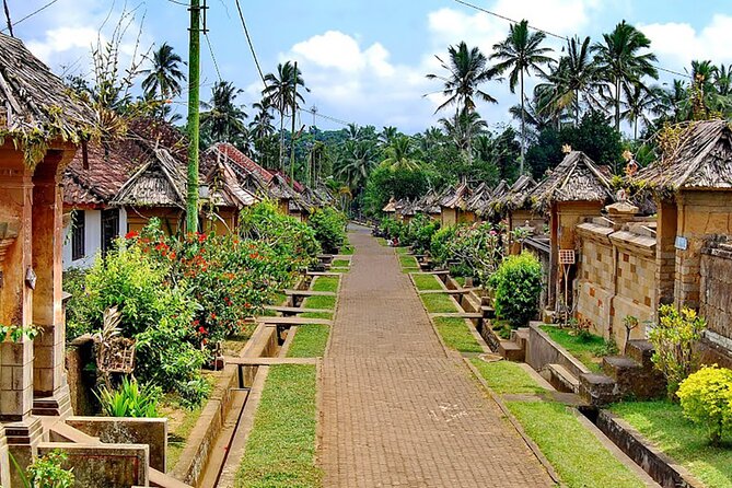 Penglipuran Traditional Village Tour with Swing, Rice Terrace, and Temple - The one-hour swing over jungle or farmland