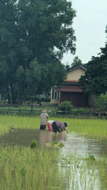 Pepper farm guided tour, Kep/Crab Market, salt & secret lake - What the $23 price really covers