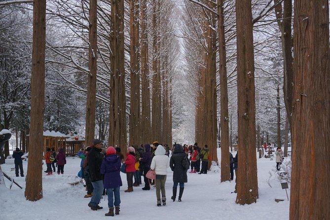 [Perfect Private Tour] Nami island, Petite France and Organic Strawberry Farm - Lunch, admissions, and the real price