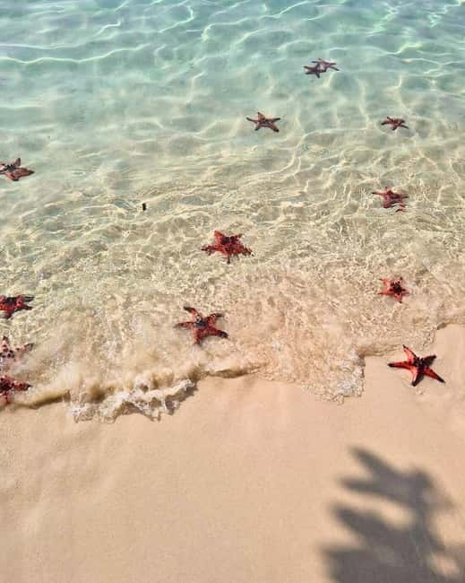 Phu Quoc: Kayaking with Starfish Beach and Bee Farm Tour - Key points to know before booking