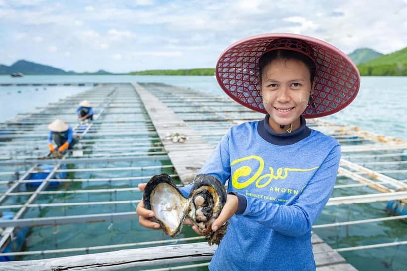 Phuket: Highlights Tour with Pearl Farm & Elephant Village - Why this Phuket tour makes sense