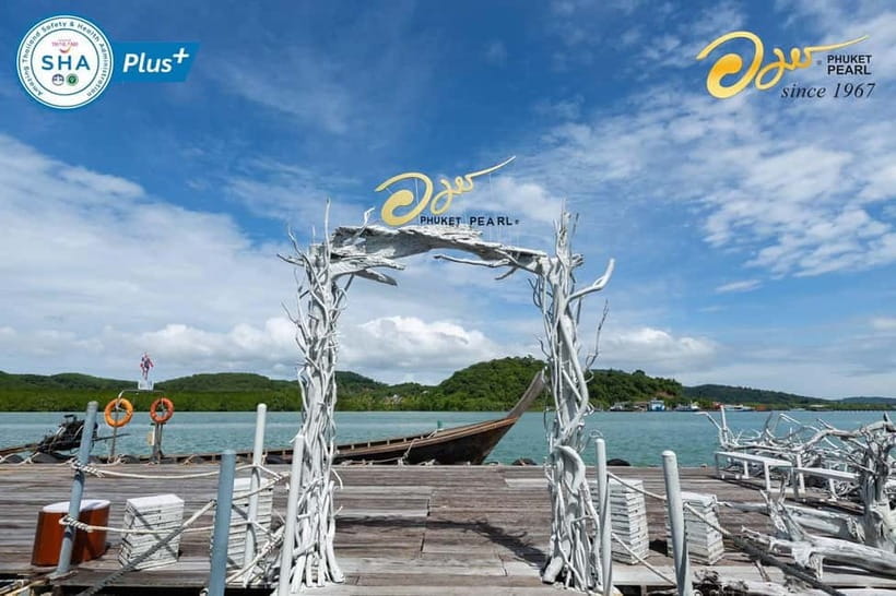 Phuket: Highlights Tour with Pearl Farm & Elephant Village - Seeing Phuket Old Town from the car