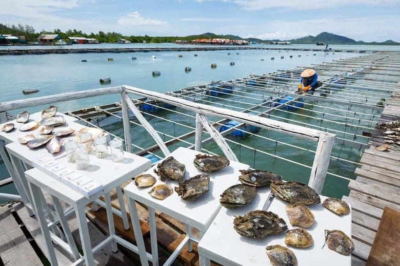 Phuket: Highlights Tour with Pearl Farm & Elephant Village - How the $69 price holds up