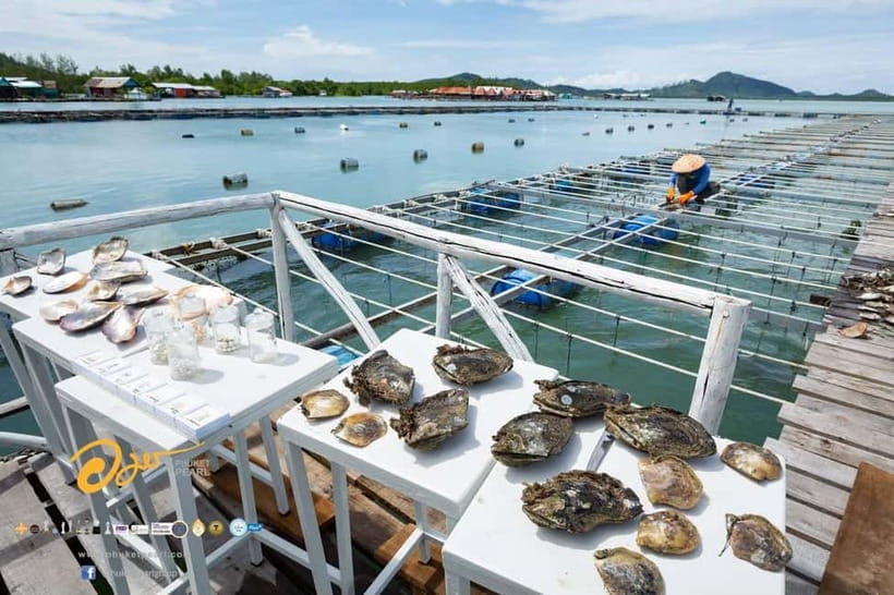 Phuket: Highlights Tour with Pearl Farm & Elephant Village - Who will enjoy this route most