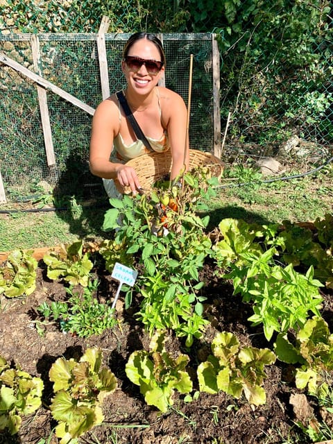 Pick Vegetables at the farm & Cook pasta - Walking the vineyard and gathering ingredients