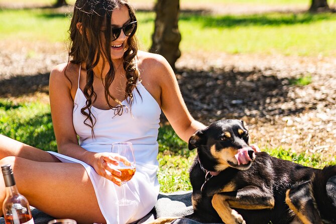 Picnic and Farm Experience at Red Hill - Key points at a glance