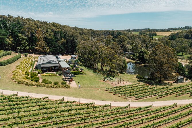 Picnic and Farm Experience at Red Hill - A farm picnic instead of a formal lunch