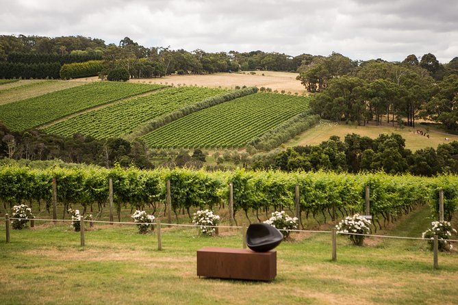 Picnic and Farm Experience at Red Hill - Why the two-hour format works