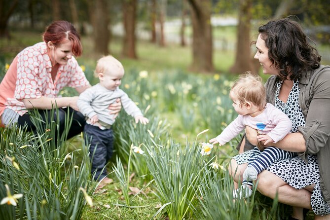 Picnic and Farm Experience at Red Hill - Finding your place among the olives, paddock, and dam