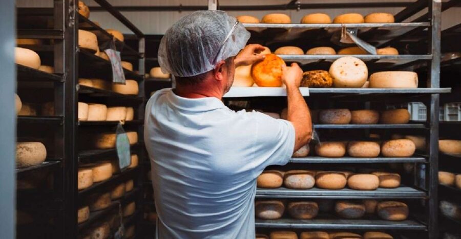 Pienza: Dairy Farm Tour with Pecorino Cheese Tasting - Walking through the dairy farm and cheesemaking area