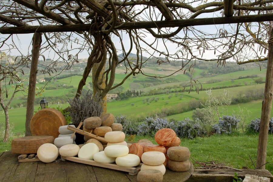 Pienza: Dairy Farm Tour with Pecorino Cheese Tasting - The views are part of what you are paying for