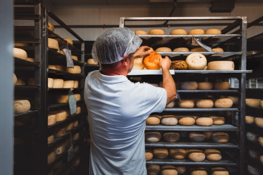 Pienza: Dairy Farm Tour with Pecorino Cheese Tasting - Learning how fresh, semi-seasoned, and seasoned cheese differ