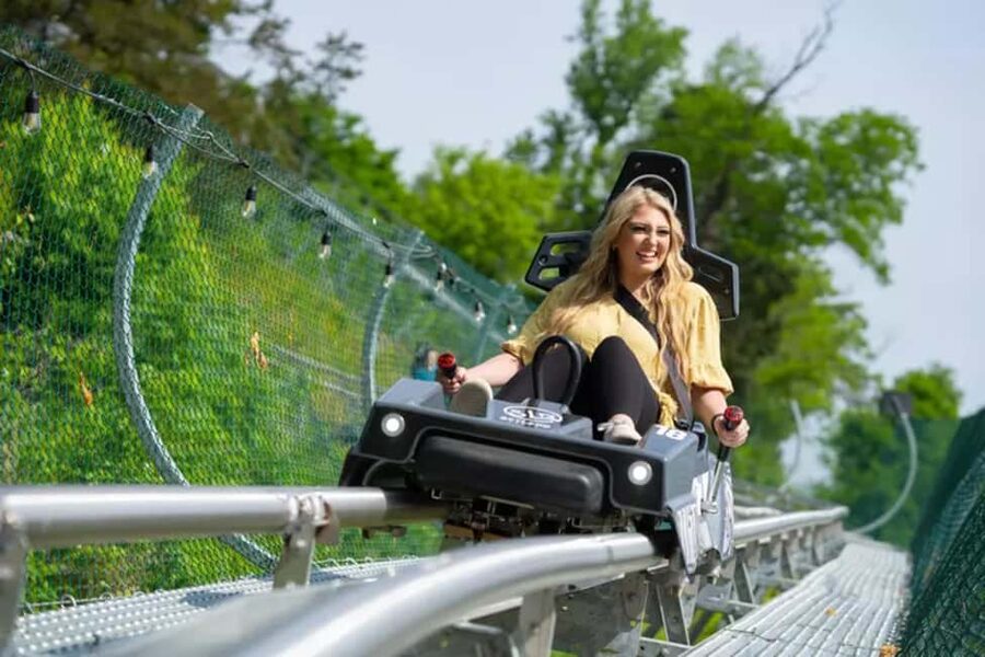 Pigeon Forge: SkyLand Ranch Admission with Chairlift - Meeting the miniature animals and longhorns