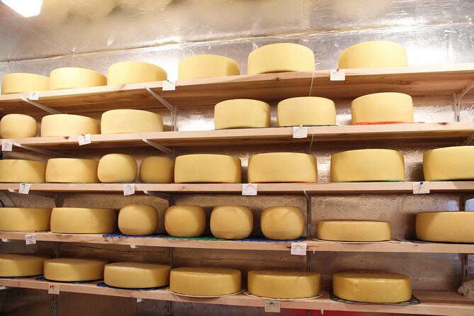 Pisa, Lucca & Cheese Farm with wine tasting Private Tour - Who Will Get the Most From This Day