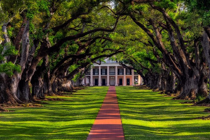 Plantation and Kayak Swamp Tour Adventure - Two Louisiana worlds in one long day