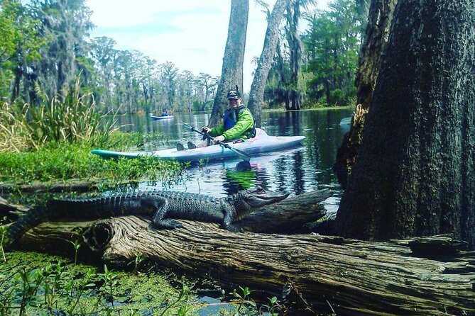 Plantation and Kayak Swamp Tour Adventure - Paddling through Manchac for about two hours