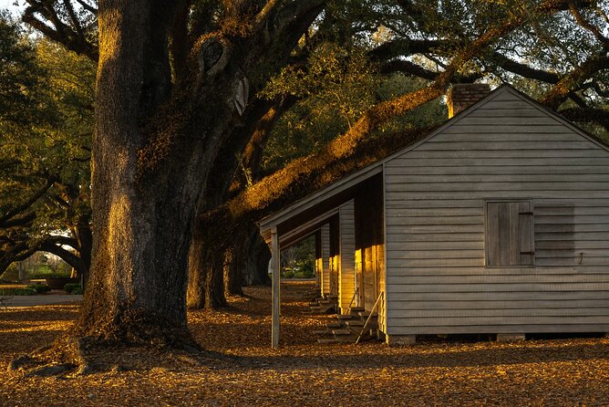 Plantation and Kayak Swamp Tour Adventure - Oak Alley’s big house and oak-lined grounds
