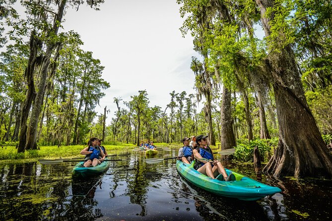 Plantation and Kayak Swamp Tour Adventure - A useful break between two active stops