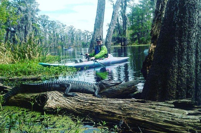 Plantation and Kayak Swamp Tour Adventure - Small group size and the guide’s role