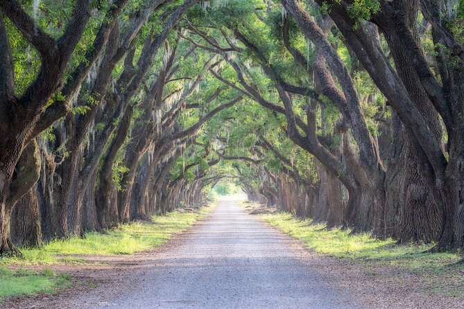 Plantation and Kayak Swamp Tour Adventure - Who should book this experience?