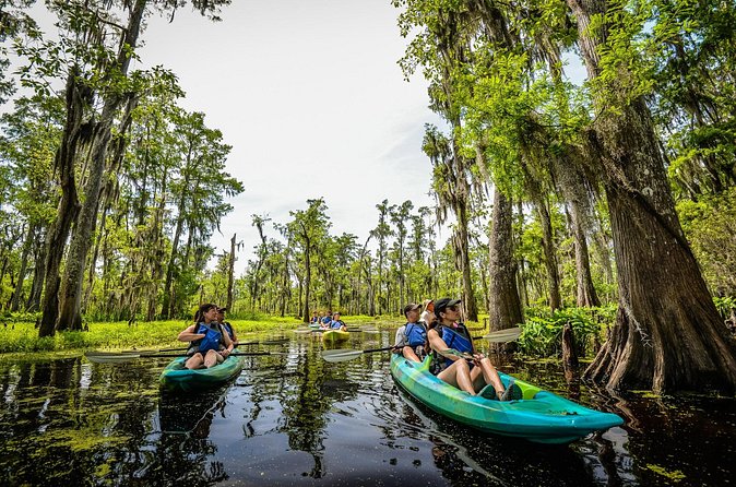 Plantation and Kayak Swamp Tour Adventure - Practical details before you reserve