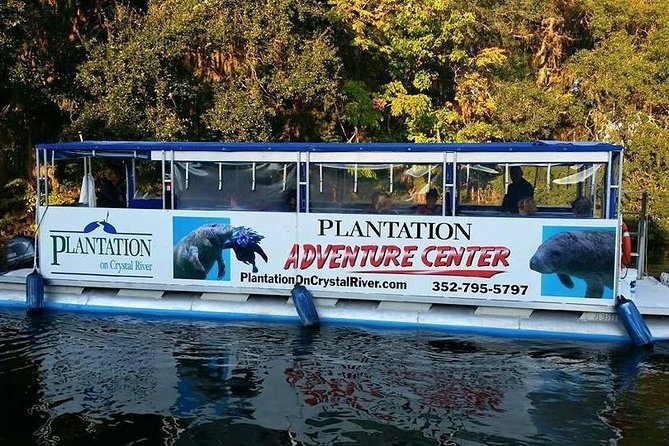 Plantation's Kings Bay Sunset Cruise - What you see as the light changes