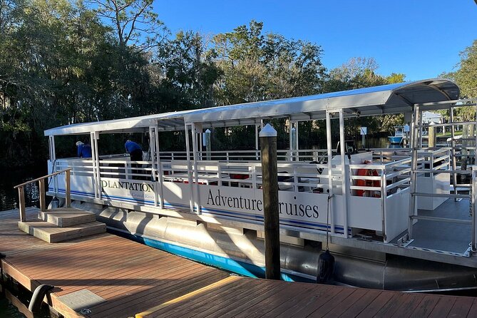 Plantation's Kings Bay Sunset Cruise - Manatees: wonderful when they appear, absent when they do not
