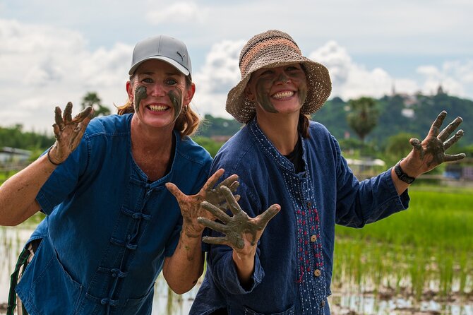 Plough to Plate: Be A Rice Farmer in Phetchaburi from Hua Hin - Harvesting, dehusking, and milling the crop