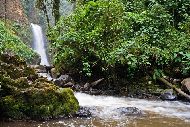 Poas Volcano + Coffee Plantations & La Paz Waterfall Gardens Trip from San Jose - Why this San José day trip works