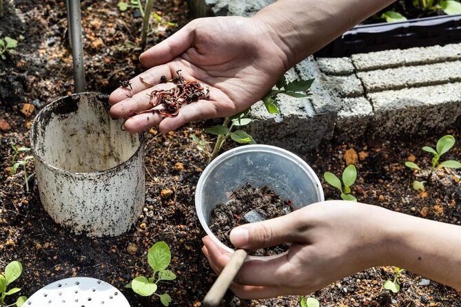 Pokhara: Organic Farm Tour and Cooking Class at Durku - Timing, Cancellation, and Small Practical Details