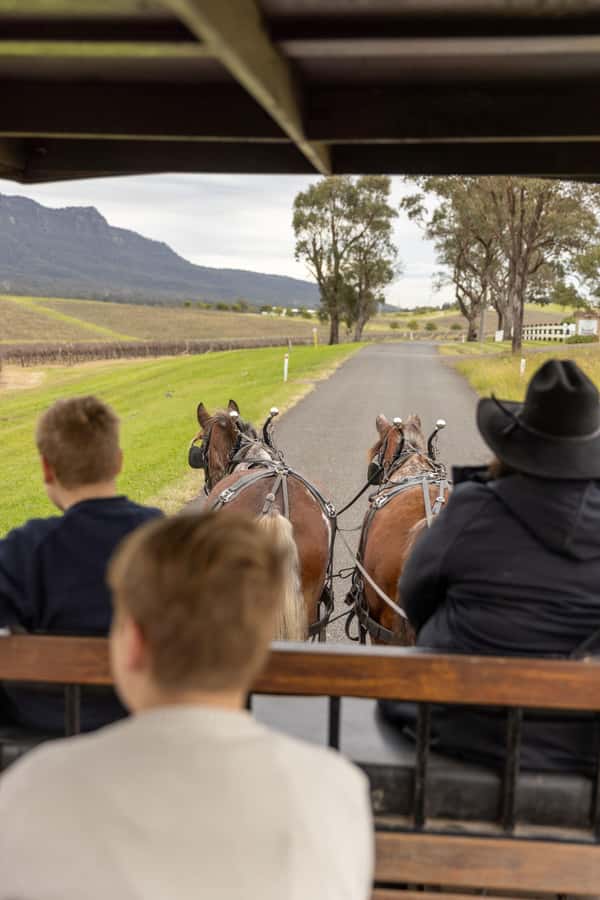 Pokolbin: Harvest the Hunter Horse Drawn Carriage Tour 3hrs - Why a carriage makes the Hunter Valley feel different