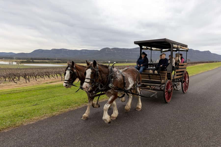 Pokolbin: Harvest the Hunter Horse Drawn Carriage Tour 3hrs - The first winery: sit-down tasting and local wine talk