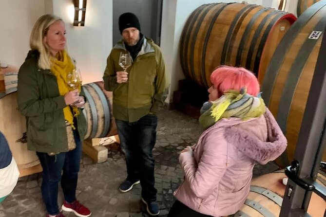 Pompeii Vesuvius Wine Farm Tour - Wine tasting in Vesuvius National Park