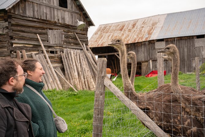 Pontiac Farm Tour - Day Trip From Ottawa & Gatineau - A Country Day Beyond Ottawa’s City Center