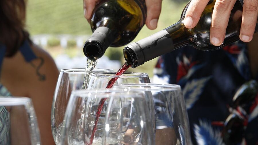 Porto: 3 Wine Regions & Farm Lunch with Views Small-Group - The road from Porto to the Douro Valley