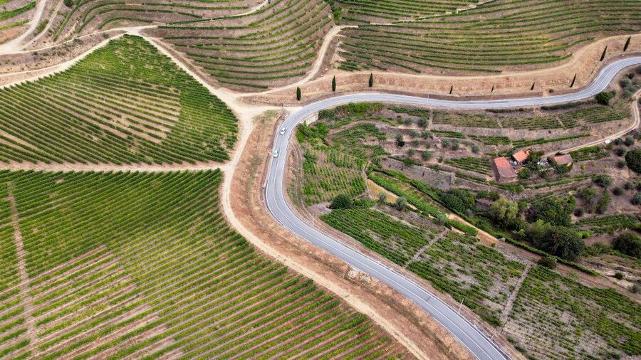 Porto: 3 Wine Regions & Farm Lunch with Views Small-Group - The second and third estates in the afternoon