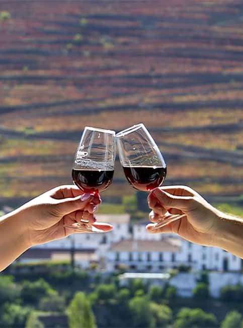 Porto: 3 Wine Regions & Farm Lunch with Views Small-Group - Guides, vehicles, and the small-group feel
