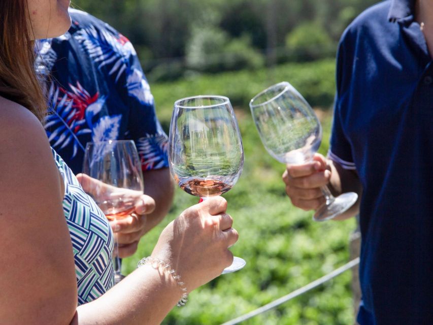 Porto: 3 Wine Regions & Farm Lunch with Views Small-Group - Is $118 a fair price?