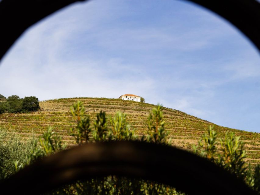 Porto: 3 Wine Regions & Farm Lunch with Views Small-Group - Should you book the Douro Valley small-group tour?