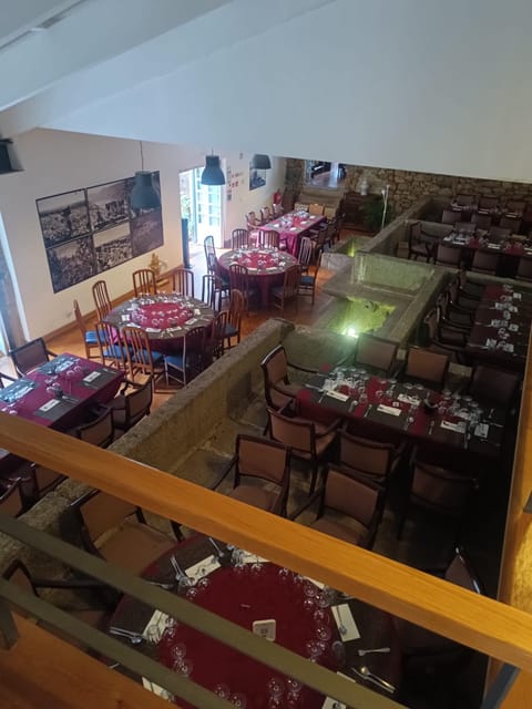 Porto: Douro valley 2 farms with wine tasting and lunch - Booking advice and final verdict