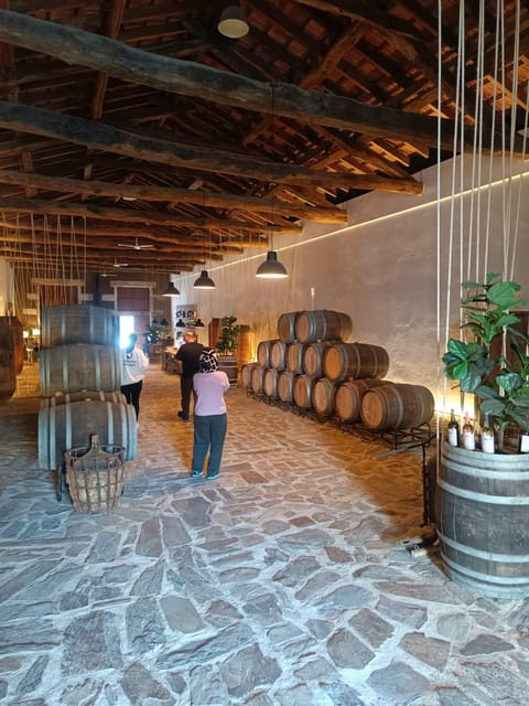Porto: Douro valley 2 farms with wine tasting and lunch - Why the Douro Valley deserves a full day