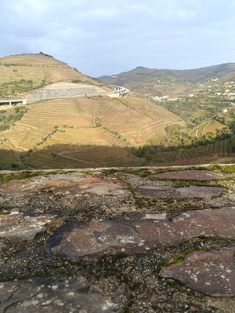 Porto: Douro valley 2 farms with wine tasting and lunch - Leaving Porto around 9am