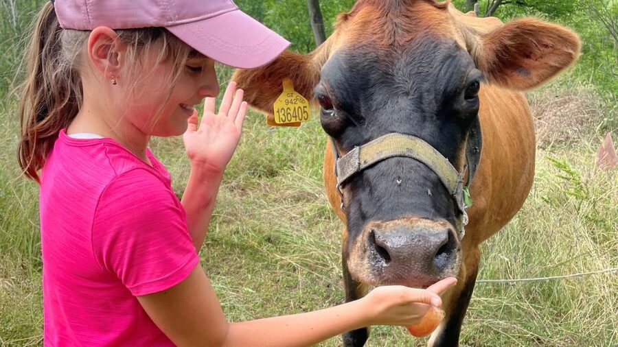 Prague: Bohemian Uplands Garnet Panning&Animal Farm 4WD Tour - Meeting cows and tasting homemade cheese