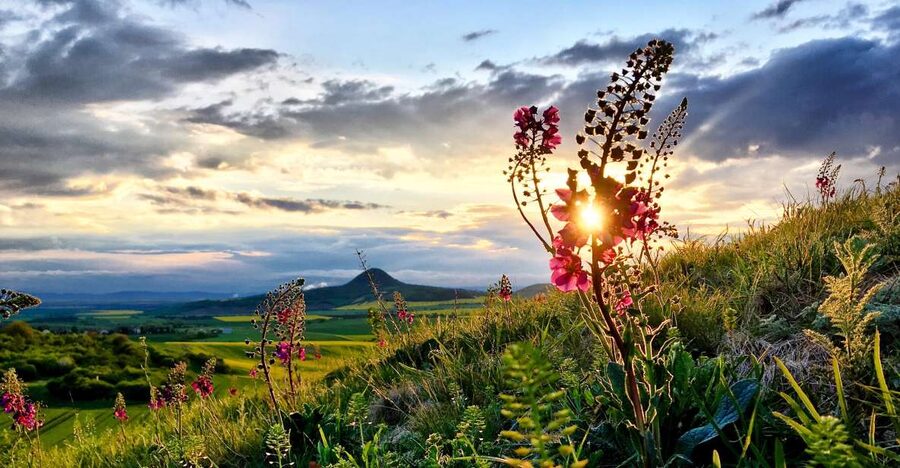 Prague: Bohemian Uplands Garnet Panning&Animal Farm 4WD Tour - Who will enjoy this day most?