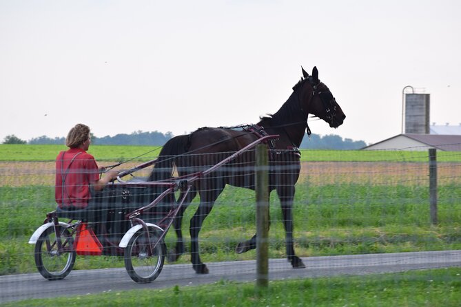 Premium Amish Country Tour including Amish Farm and House - Is $38.95 a good value?