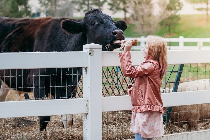 Premium Amish Country Tour including Amish Farm and House - The 90-minute minibus ride through Amish backroads
