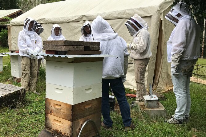 Private 2-Hour Beekeeping Classroom Tour in Honokaa - Putting on a beesuit and entering the apiary