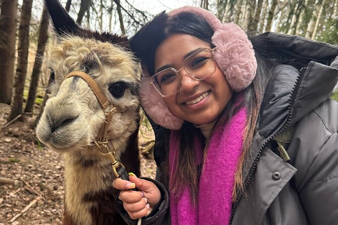 PRIVATE Alpaca Guided Forest Walk + Feeding Helsinki - What the private format is worth